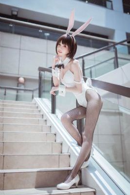 噼里啪啦电视剧在线观看播放_HD电影免费在线